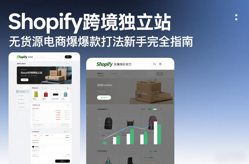 Shopify跨境独立站无货源电商爆款打法新手完全指南-资源宝库