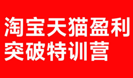 玺承·淘宝天猫盈利突破特训营(25年12月线下课)【音频+字幕】-资源宝库