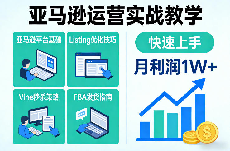 亚马逊运营实战教学，亚马逊平台+Listing优化+Vine秒杀+FBA发货等，快速上手，实现店铺月利润1W-资源宝库