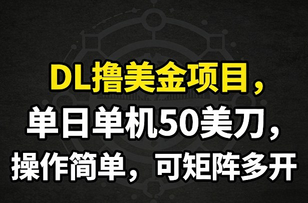 DL撸美金项目，单日单机50美刀，操作简单，可矩阵多开-资源宝库