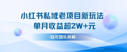 小红书私域项目新玩法,单月变现过W+-资源宝库