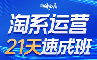 白凤电商·淘系运营21天速成班(更新2月)-资源宝库