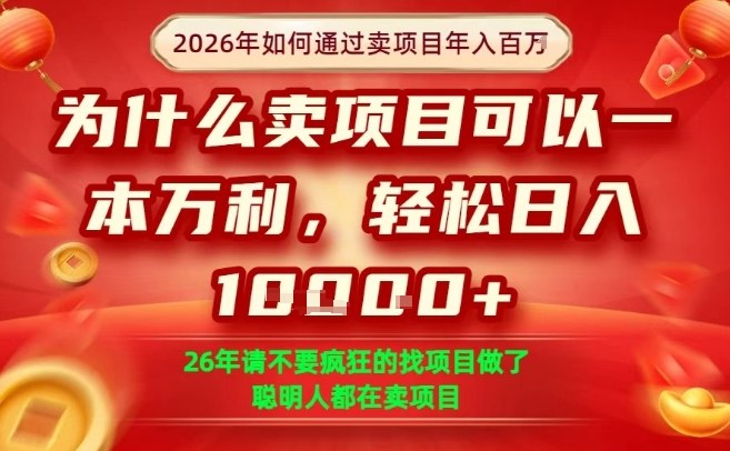 一单净利润1K+，26年想年入100个W，死磕卖项目就够了【揭秘】-资源宝库