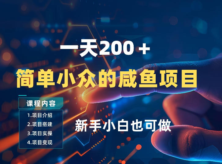 一天收入2张，一个简单小众的咸鱼项目，0门槛小白也能做-资源宝库