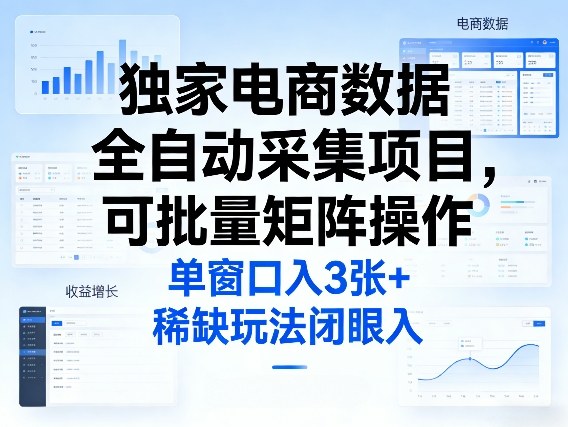 独家电商数据全自动采集项目，可批量矩阵操作，单窗口日入3张+，稀缺玩法闭眼入【揭秘】-资源宝库