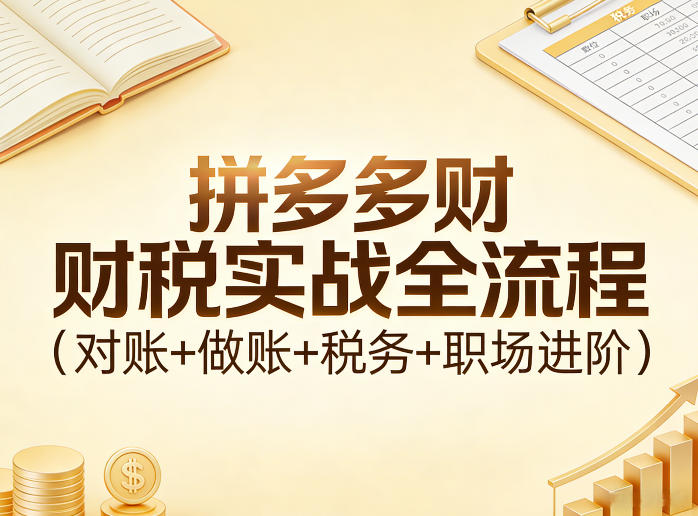 拼多多财税实战全流程(对账+做账+税务+职场进阶)-资源宝库