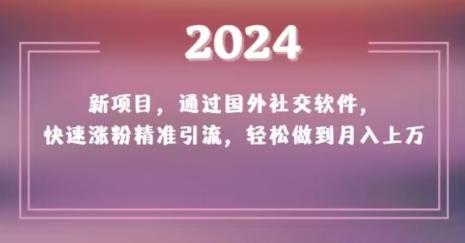 2024新项目，通过国外社交软件，快速涨粉精准引流，轻松做到月入上万【揭秘】-资源宝库