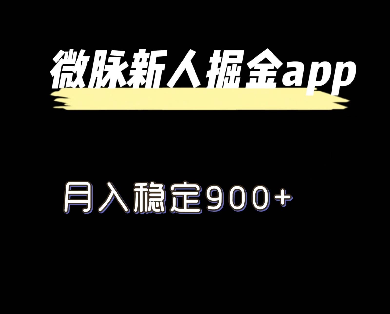 最新微脉长久项目，拉新掘金，月入稳定900+-资源宝库