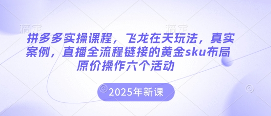 拼多多实操课程，飞龙在天玩法，真实案例，直播全流程链接的黄金sku布局原价操作六个活动-资源宝库