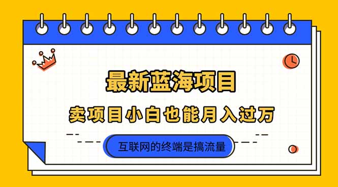 2025年最新蓝海项目，卖项目小白也能月入过万-资源宝库