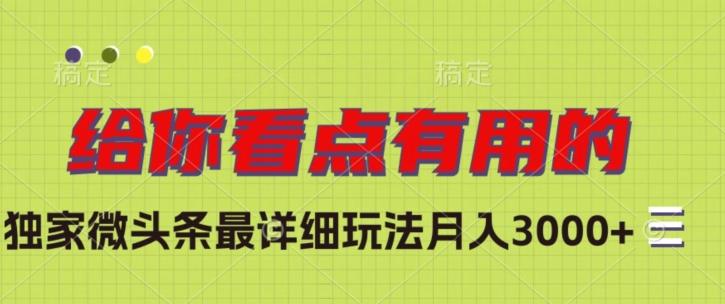 独家微头条最详细玩法，月入3000+【揭秘】-资源宝库