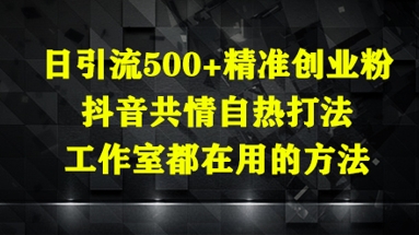 日引流500+精准创业粉,抖音共情自热打法,工作室都在用的方法-资源宝库