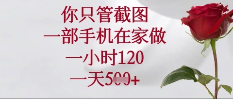 你只管截图，一部手机在家操作，一小时120.一天5张【揭秘】-资源宝库