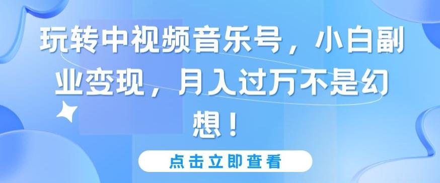 玩转中视频音乐号，小白副业变现，月入过万不是幻想【揭秘】-资源宝库