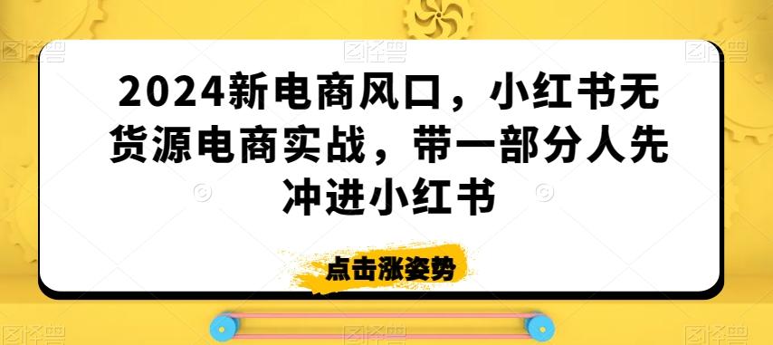 2024新电商风口，小红书无货源电商实战，带一部分人先冲进小红书-资源宝库