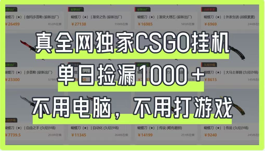 真全网独家CSGO挂机，单日捡漏1000+，不用电脑，不用养号-资源宝库
