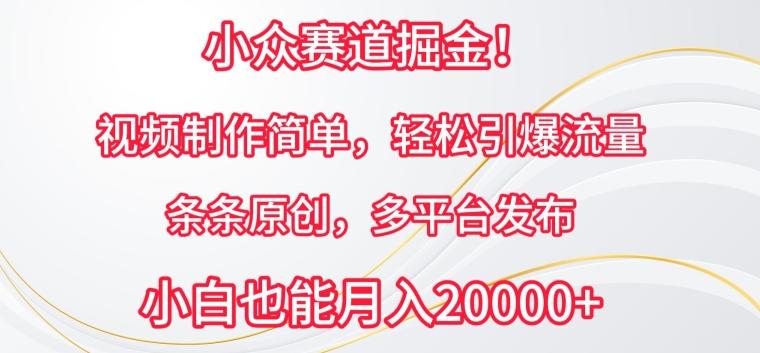 小众赛道掘金，视频制作简单，轻松引爆流量，条条原创，多平台发布【揭秘】-资源宝库