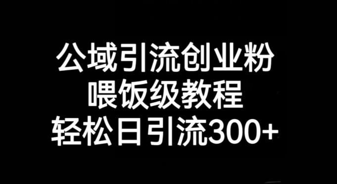 公域引流创业粉，喂饭级教程，轻松日引流300+【揭秘】-资源宝库