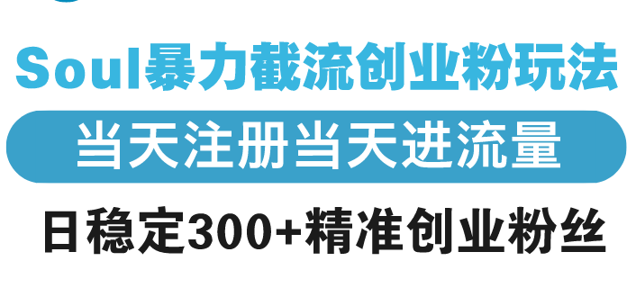 Soul暴力截流创业粉玩法，当天注册当天进流量，日稳定300+精准创业粉丝-资源宝库