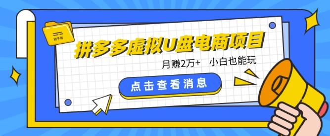 拼多多虚拟U盘电商红利项目：月赚2万+，新手小白也能玩-资源宝库