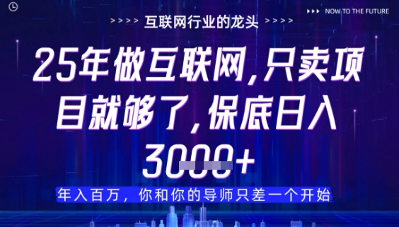 什么！25年你还在找项目做？风口早就变了，卖项目才是稳挣不赔【揭秘】-资源宝库