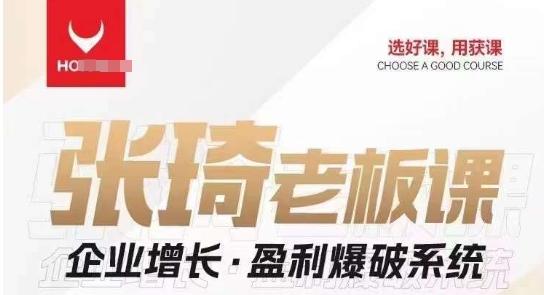 【组合课】张琦张琦老板企业增长·盈利爆破系统（直播专享）-资源宝库