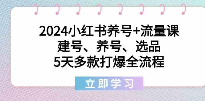 2024小红书养号+流量课：建号、养号、选品，5天多款打爆全流程-资源宝库