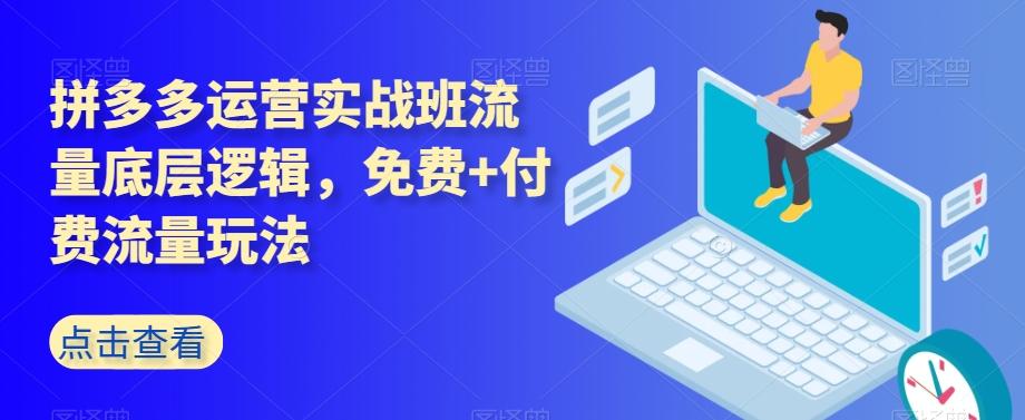 拼多多运营实战班流量底层逻辑，免费+付费流量玩法-资源宝库