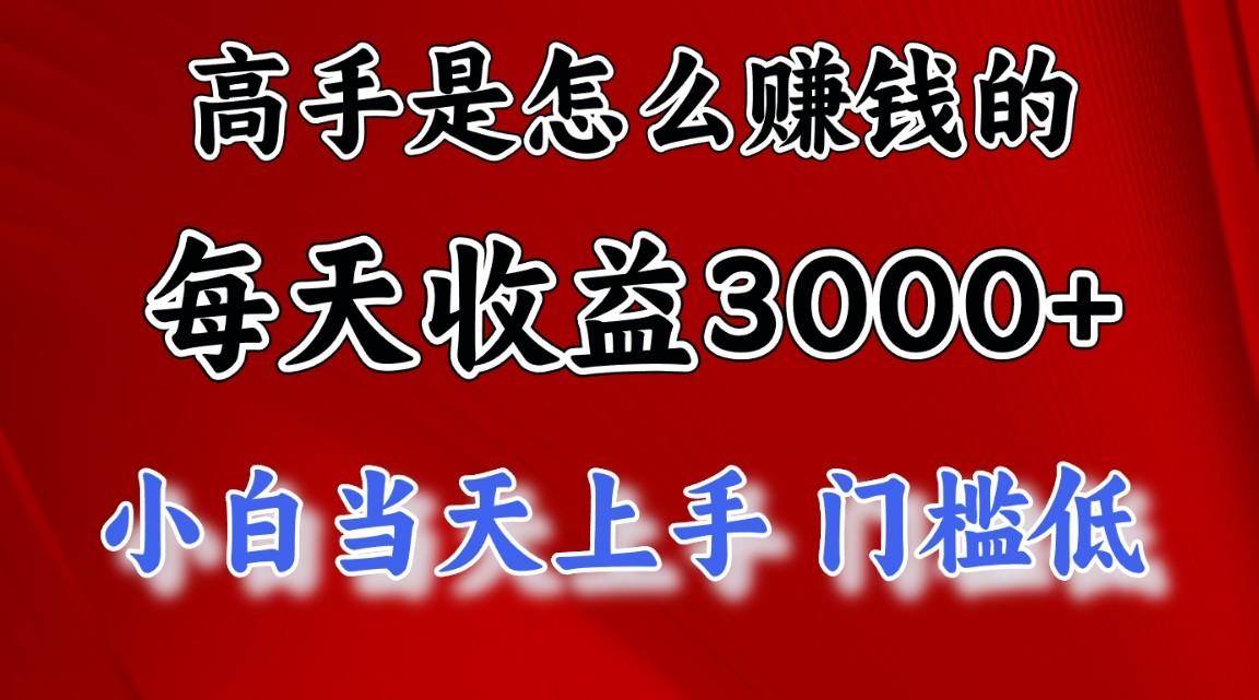 高手是怎么赚钱的,一天收益3000+,闷声发财项目,不是一般人能看懂的-资源宝库