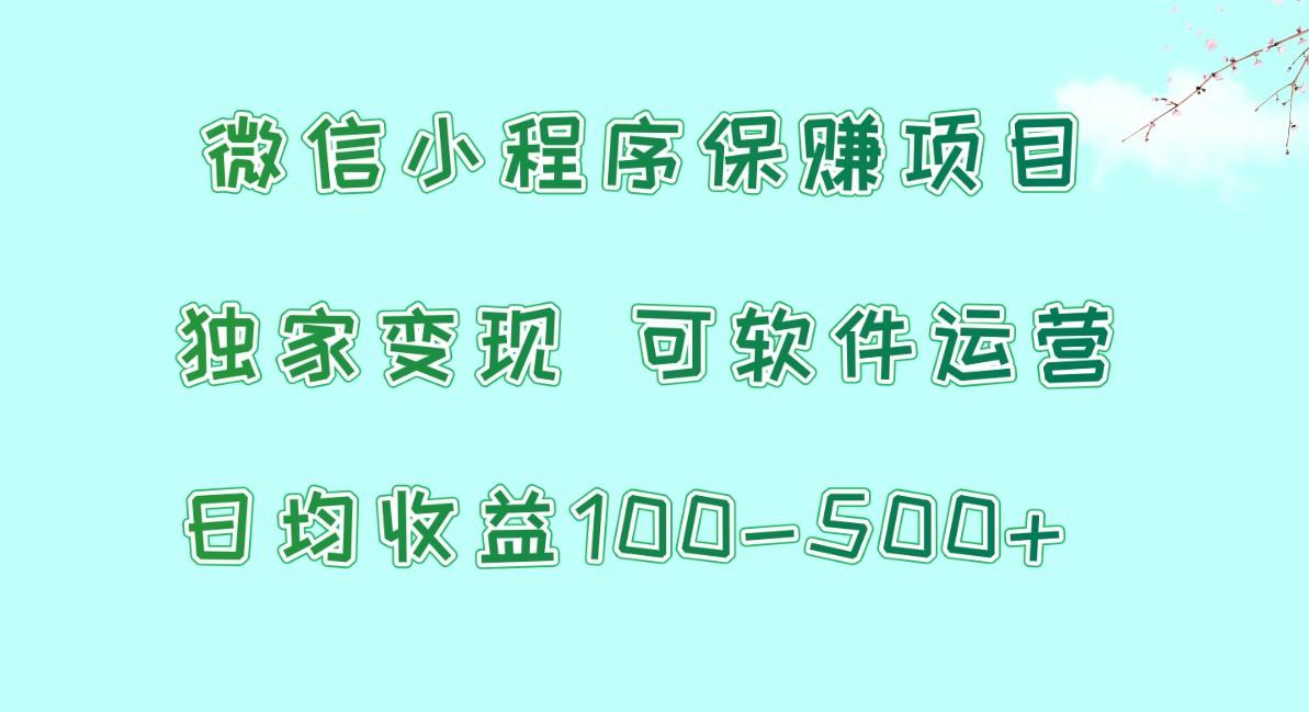 微信小程序保赚项目，日均收益100~500+，独家变现，可软件运营-资源宝库