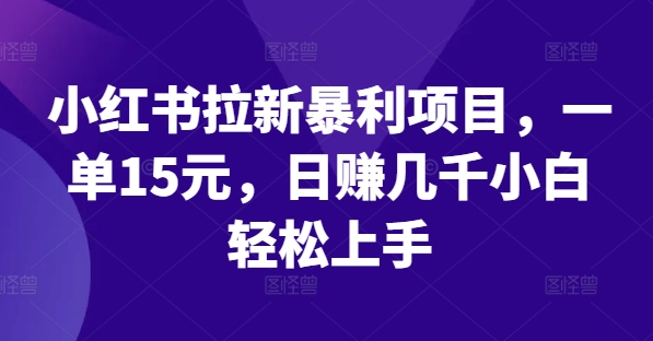 小红书拉新暴利项目，一单15元，日赚几千小白轻松上手【揭秘】-资源宝库