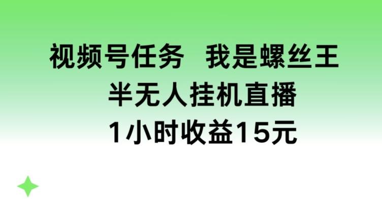 视频号任务，我是螺丝王， 半无人挂机1小时收益15元【揭秘】-资源宝库