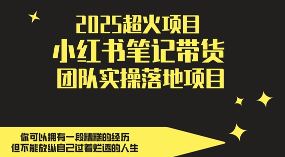 2025超火项目，副业最佳选择，小红书笔记带货团队实操落地项目，，轻松日入5张-资源宝库