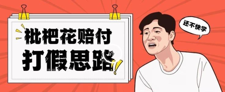 最新打假原料枇杷花赔付玩法一单收益1000+小白轻松下车【详细视频玩法教程】【仅揭秘】-资源宝库