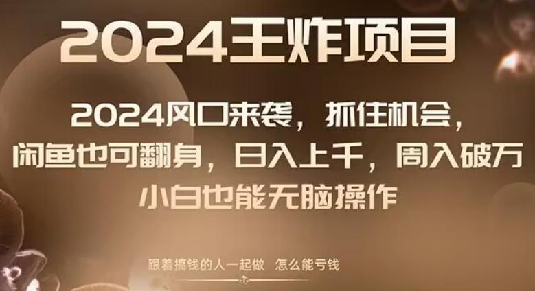 2024风口项目来袭，抓住机会，闲鱼也可翻身，日入上千，周入破万，小白也能无脑操作-资源宝库