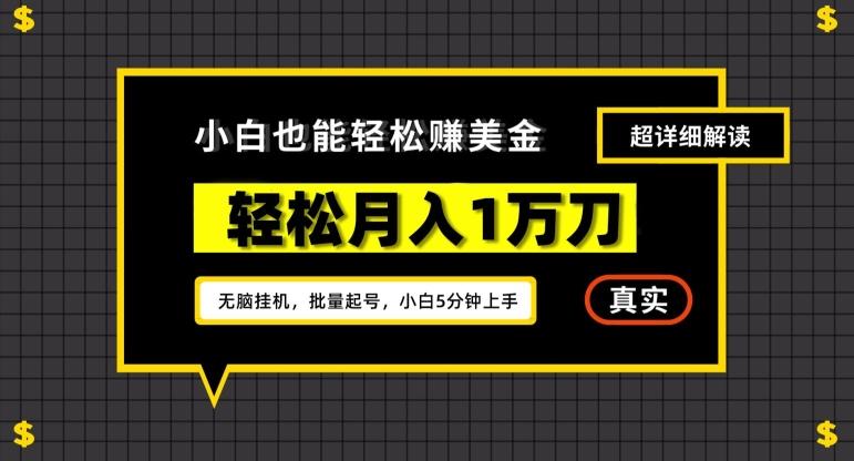 谷歌看广告撸美金2.0，无脑挂机，多号操作，月入1万刀【揭秘】-资源宝库