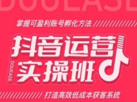 抖音运营实操班,掌握可盈利账号孵化方法,打造高效低成本获客系统