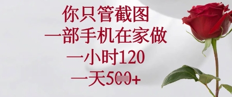 你只管截图,一部手机在家做,苹果安卓都可以,一小时120,一天5张+【揭秘】-资源宝库