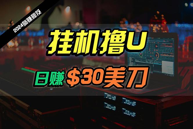 (10013期)日赚30美刀，2024最新海外挂机撸U内部项目，全程无人值守，可批量放大-资源宝库