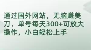 通过国外网站，无脑赚美刀，单号每天300+可放大操作，小白轻松上手【揭秘】-资源宝库