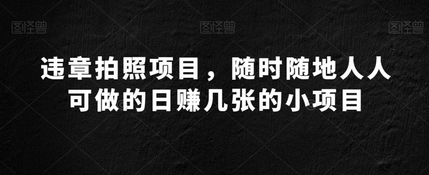 违章拍照项目，随时随地人人可做的日赚几张的小项目-资源宝库