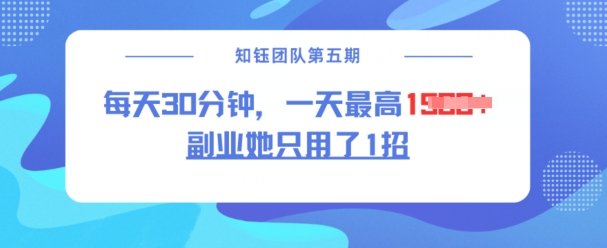 副业她只用了1招,每天30分钟,无脑二创,一天最高1.5k-资源宝库