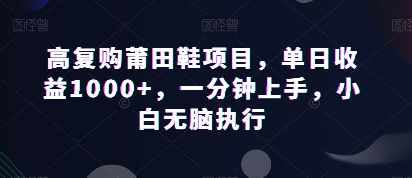 高复购莆田鞋项目，单日收益1000+，一分钟上手，小白无脑执行-资源宝库