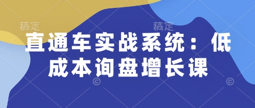 直通车实战系统：低成本询盘增长课，让个人通过技能实现升职加薪，让企业低成本获客，订单源源不断-资源宝库