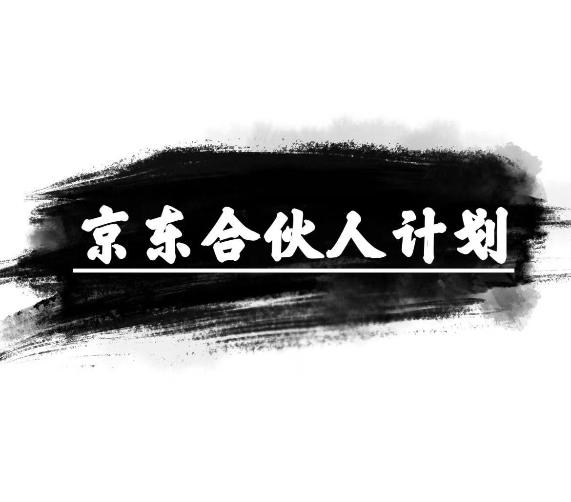 京东合伙人计划，轻松月入过万，赚钱项目，只需复制粘贴，小白也能做。-资源宝库