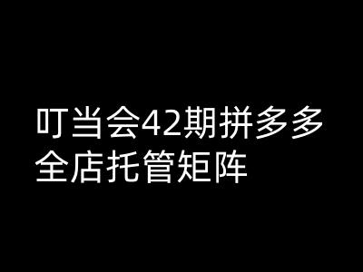 叮当会拼多多打爆班原创高阶技术第42期，拼多多全店托管矩阵-资源宝库