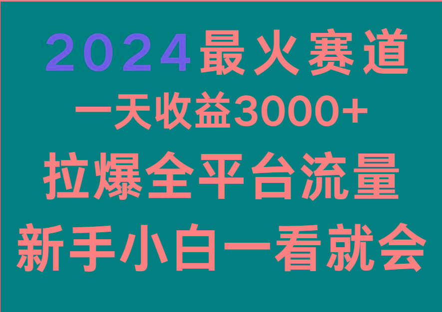 2024最火赛道,一天收一3000+.拉爆全平台流量,新手小白一看就会-资源宝库