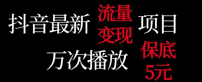 抖音流量变现，万次播放保底5元，额外收入-资源宝库