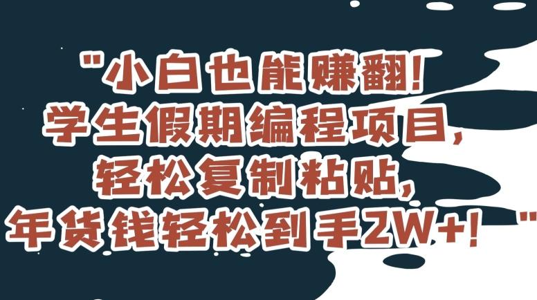 小白也能赚翻！学生假期编程项目，轻松复制粘贴，年货钱轻松到手2W+【揭秘】-资源宝库