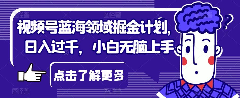 视频号蓝海领域掘金计划，日入过千，小白无脑上手【揭秘】-资源宝库